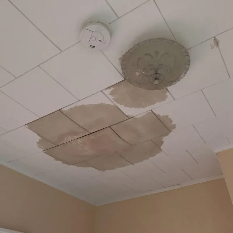Ceiling Water Damage Repair in Woodbridge, CT