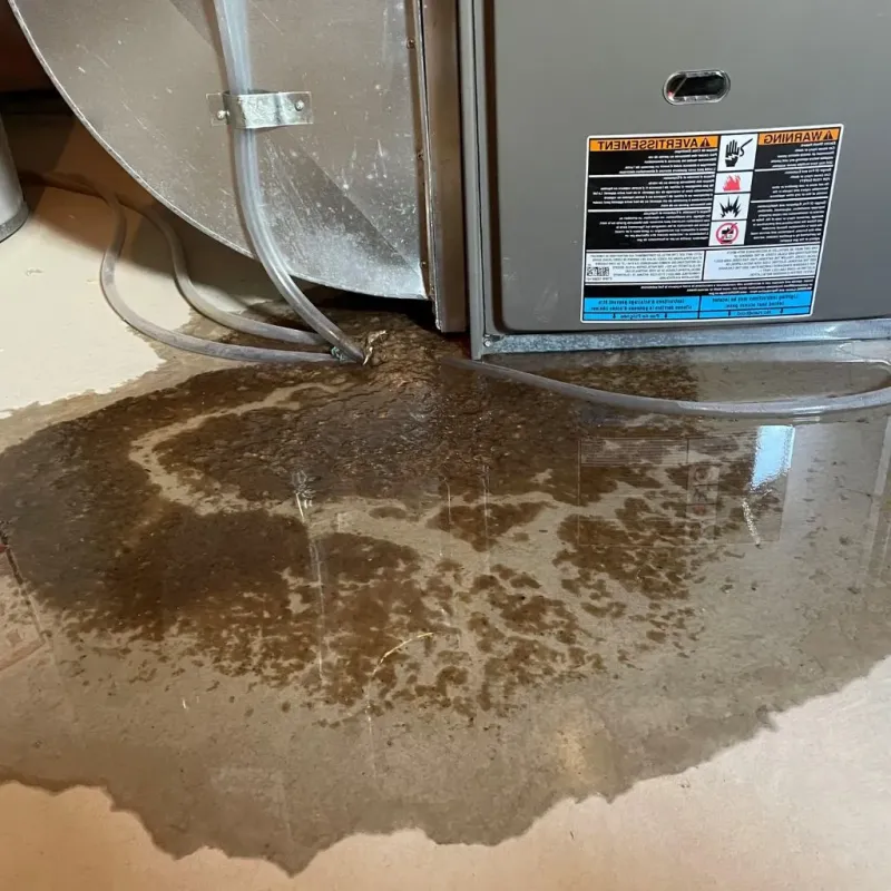 Pipe Burst and Leak Restoration in Woodbridge, CT