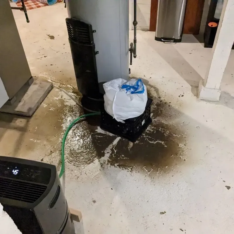 Sewage Backup Cleanup Service in Woodbridge, CT